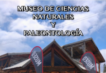 El Museo de Ciencias Naturales y Paleontología de Cholila busca posicionarse como un gran atractivo en la región