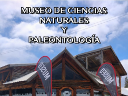 El Museo de Ciencias Naturales y Paleontología de Cholila busca posicionarse como un gran atractivo en la región