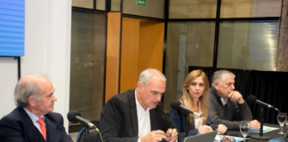 Chubut preside el Consejo Federal de Ambiente: “Podemos determinar en la agenda nacional cuáles son los temas que más importan”