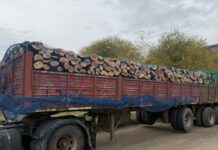 Plan Calor: Arrancó la entrega de leña en los barrios de Esquel