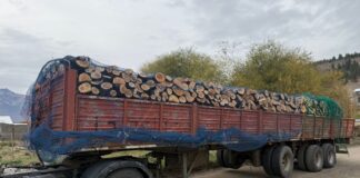 Plan Calor: Arrancó la entrega de leña en los barrios de Esquel