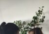 Se aplicaron más de 53.000 vacunas antigripales a los grupos priorizados