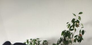 Se aplicaron más de 53.000 vacunas antigripales a los grupos priorizados