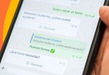 Chubut habilita el asistente virtual DINO para turnos médicos online