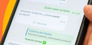 Chubut habilita el asistente virtual DINO para turnos médicos online