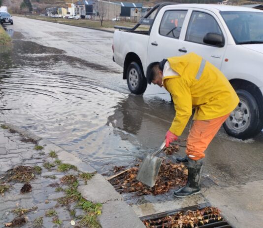 Realizan limpieza de pluviales y alcantarillas para prevenir la acumulación de agua