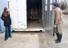 La zafra de liebre mantiene su ritmo y abre las puertas a nuevos proveedores