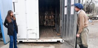 La zafra de liebre mantiene su ritmo y abre las puertas a nuevos proveedores