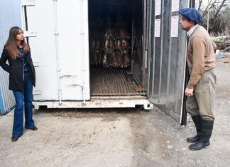La zafra de liebre mantiene su ritmo y abre las puertas a nuevos proveedores