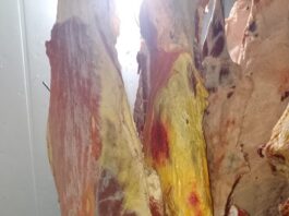 Decomisaron carne sin controles sanitarios en Esquel