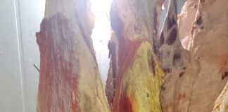 Decomisaron carne sin controles sanitarios en Esquel