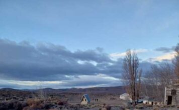 En un exhaustivo operativo por abigeato, se recuperaron decenas de ovinos y armamento