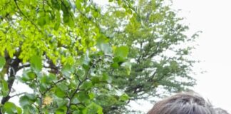 Investigadora del CIEFAP obtuvo el Primer Premio en Ciencia y Tecnología del Premio Rotary Jóvenes por la Excelencia 2026