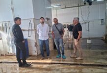 En medio de la crisis, la Cámara de Comercio destacó el ingreso de carne del matadero de Gobernador Costa