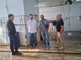 En medio de la crisis, la Cámara de Comercio destacó el ingreso de carne del matadero de Gobernador Costa