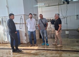 En medio de la crisis, la Cámara de Comercio destacó el ingreso de carne del matadero de Gobernador Costa