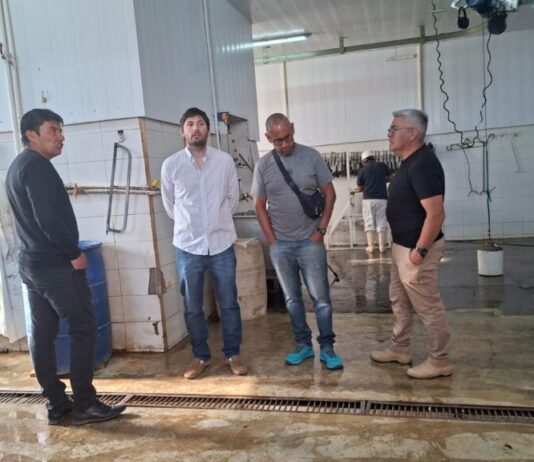 En medio de la crisis, la Cámara de Comercio destacó el ingreso de carne del matadero de Gobernador Costa