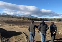 Producción y turismo: avanza proyecto que contempla un campo de lavandas y frutillas