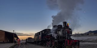La Trochita atraviesa y un invierno atípico: baja demanda y expectativas puestas en tulipanes