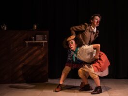 Se viene el Festival de Teatro con una programación para toda la familia