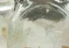 Becaria chubutense se capacita en cultivo in vitro y fortalece investigaciones sobre coníferas nativas de la Patagonia
