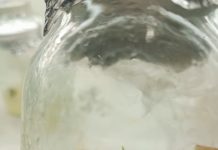 Becaria chubutense se capacita en cultivo in vitro y fortalece investigaciones sobre coníferas nativas de la Patagonia