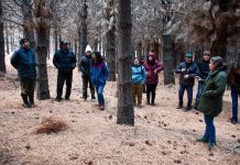 Abren la inscripción para el Programa Piloto de Manejo de Bosques Comunales en Esquel