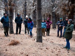 Abren la inscripción para el Programa Piloto de Manejo de Bosques Comunales en Esquel