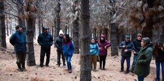 Abren la inscripción para el Programa Piloto de Manejo de Bosques Comunales en Esquel