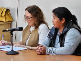 Homicidio de Millapan: seis meses de prisión preventiva para la imputada