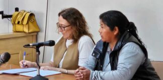 Homicidio de Millapan: seis meses de prisión preventiva para la imputada