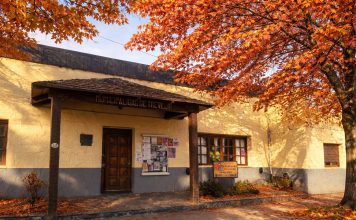 Continúan abiertas las inscripciones para el segundo período de los talleres culturales