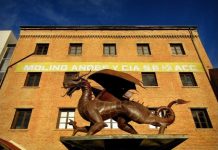 En el Centro Cultural Provincial, inauguran muestra fotográfica sobre “Dragones en la Patagonia”