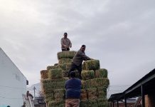 Entregaron forraje a productores de Lago Rosario y Sierra Colorada