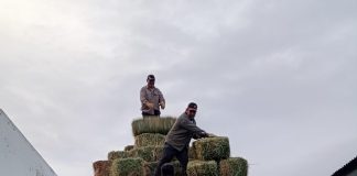 Entregaron forraje a productores de Lago Rosario y Sierra Colorada