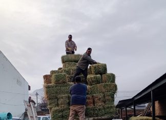 Entregaron forraje a productores de Lago Rosario y Sierra Colorada