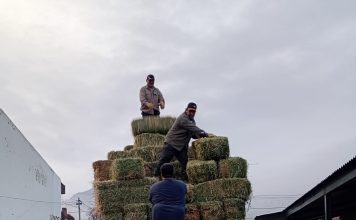 Entregaron forraje a productores de Lago Rosario y Sierra Colorada