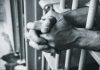 Prisión preventiva por tres meses para un hombre imputado por hechos de violencia de género