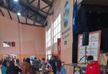 Trevelin: convocan a instituciones para organizar el “Día de las Infancias 2026”