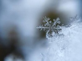 Jueves con alerta amarilla por nevadas en la cordillera
