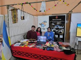 Artesanos, productores y gastronómicos protagonizan un nuevo Paseo de Invierno en Trevelin