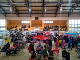 Saberes, sabores y creatividad: llega un nuevo Paseo de Invierno en Trevelin