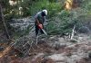 Realizan trabajos preventivos para reducir el riesgo de incendios de interfase
