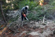 Realizan trabajos preventivos para reducir el riesgo de incendios de interfase