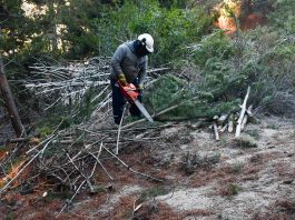 Realizan trabajos preventivos para reducir el riesgo de incendios de interfase