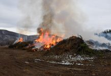 La Municipalidad de Esquel realizó una quema controlada de residuos forestales