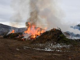 La Municipalidad de Esquel realizó una quema controlada de residuos forestales