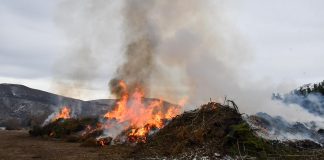 La Municipalidad de Esquel realizó una quema controlada de residuos forestales