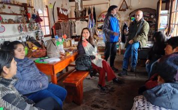 Trevelin trabaja en la organización del Día de la Mujer Originaria