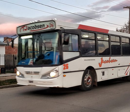 La discusión que se viene: el Ejecutivo presentará en el HCD el pliego para la licitación del servicio de transporte público